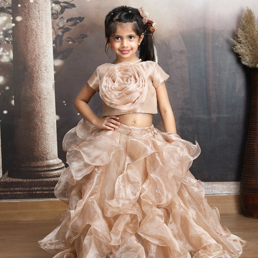 champagne Designer lehenga choli set