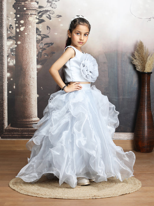 Grey Designer lehenga choli set