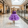 Purple party frock for girls-M250160