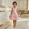 Pink Ruffle Tulle Party Dress for Girls M260246