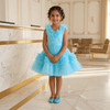 Blue beautiful dress-m260252