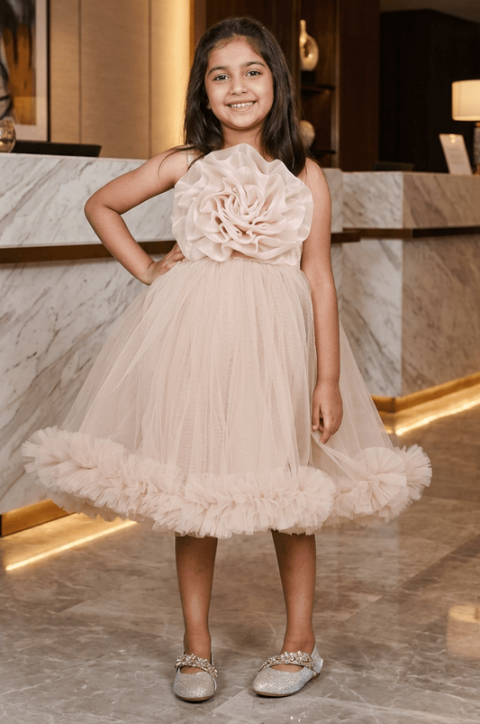 Champagne party frock for girls-M250113