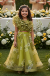 SALE Green Designer lehenga choli set-M250333