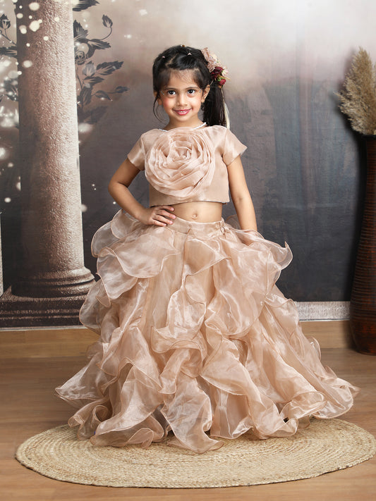 champagne Designer lehenga choli set