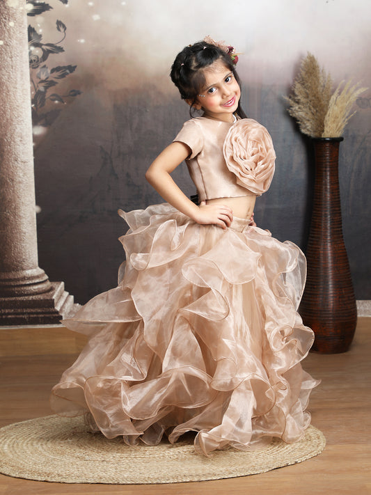 champagne Designer lehenga choli set