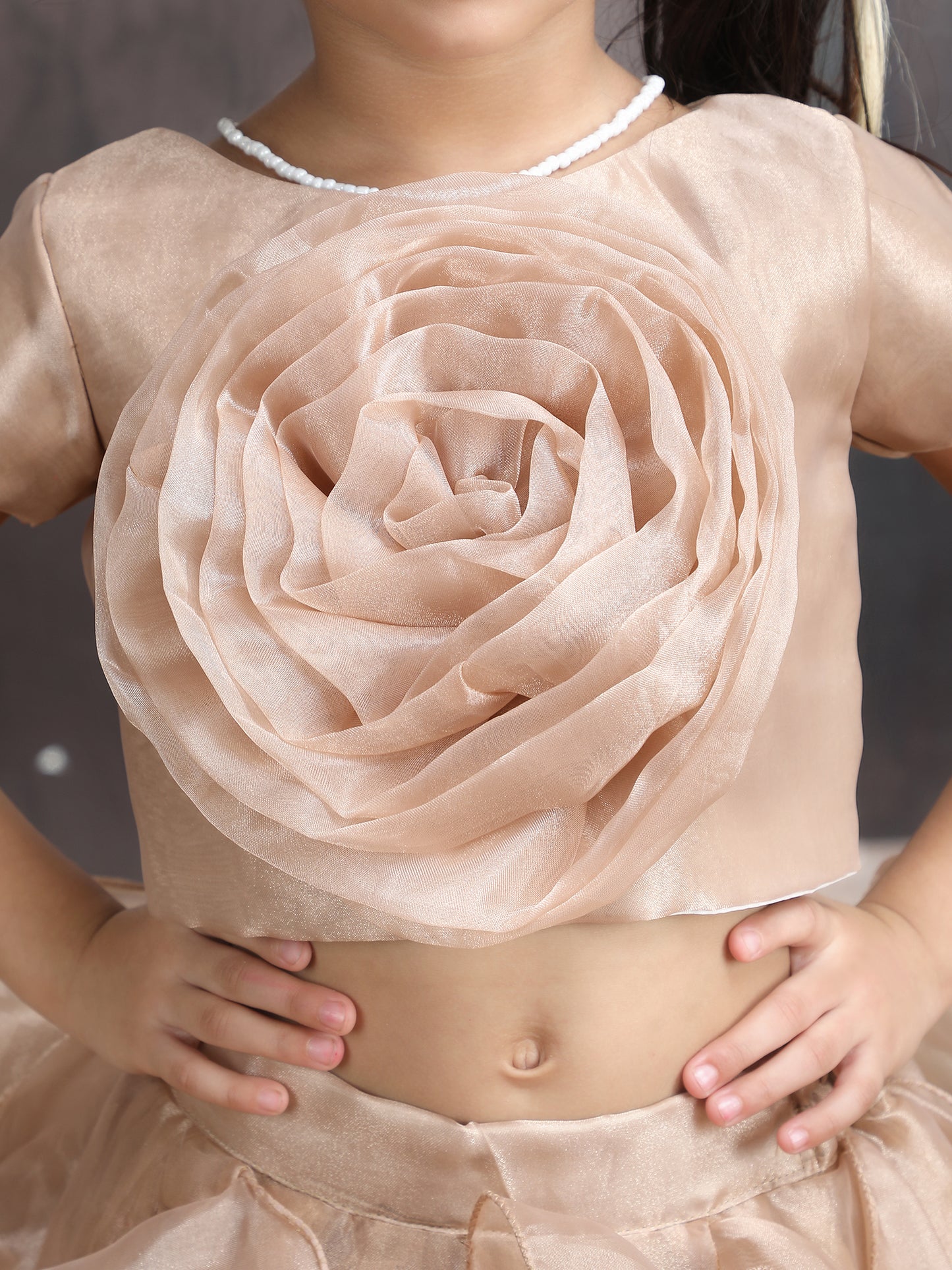 champagne Designer lehenga choli set