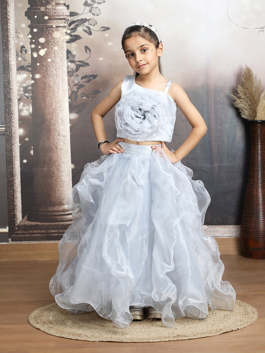 Grey Designer lehenga choli set