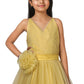 Girls Beige Color Princess Party Wear gown