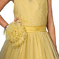 Girls Beige Color Princess Party Wear gown