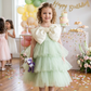 Girls Green  Party frock m240018