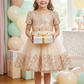 Girls Beige  Party frock M240028
