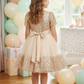 Girls Beige  Party frock M240028