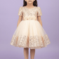 Girls Beige  Party frock M240028