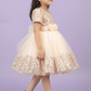 Girls Beige  Party frock M240028