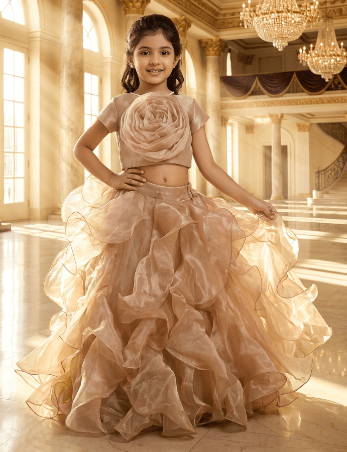 champagne Designer lehenga choli set
