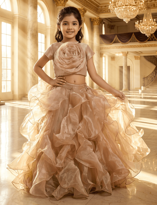 champagne Designer lehenga choli set