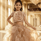 champagne Designer lehenga choli set