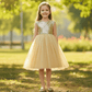 Girls golden knee length Party frock M234201