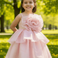 Girls champagne  Party frock m240016