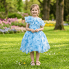 Blueparty frock for girls-M250119