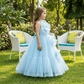Sky blue net frock M260040
