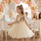 SALE Girls gold Party frock M233416