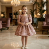 Girls wine  Party frock M260129