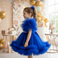 Blue party frock for girls-M260147