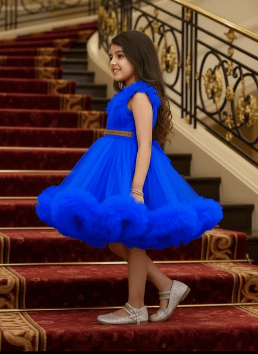 Girls royal blue knee length Party frock M260187