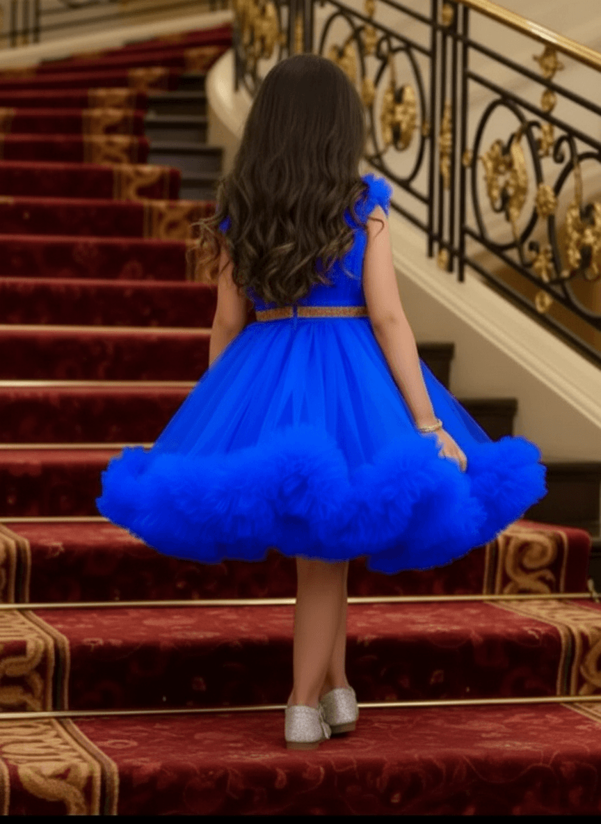 Girls royal blue knee length Party frock M260187
