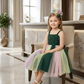 Multicolor party frock for girls-M260217