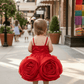 Red Rose beautiful dress-m260243