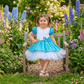 Sky blue Party Frock for Girls M260279