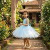 Sky blue Party Frock for Girls M260282