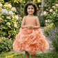 Peach Tulle Organza Party Frock for Girls M260061