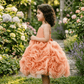 Peach Tulle Organza Party Frock for Girls M260061