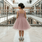 Champagne Tulle Princess Party Frock for Girls M260110