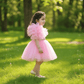 Candy Pink Tutu Frock with Dramatic Ruffle Sleeves & Gold Waistband for Girls