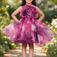 Designer Boutique Dresses magenta frock m250072
