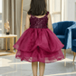 Girls wine casual frock m250046