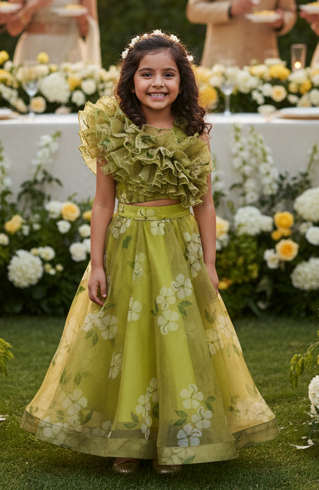 Green Designer lehenga choli set