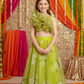 Green Designer lehenga choli set